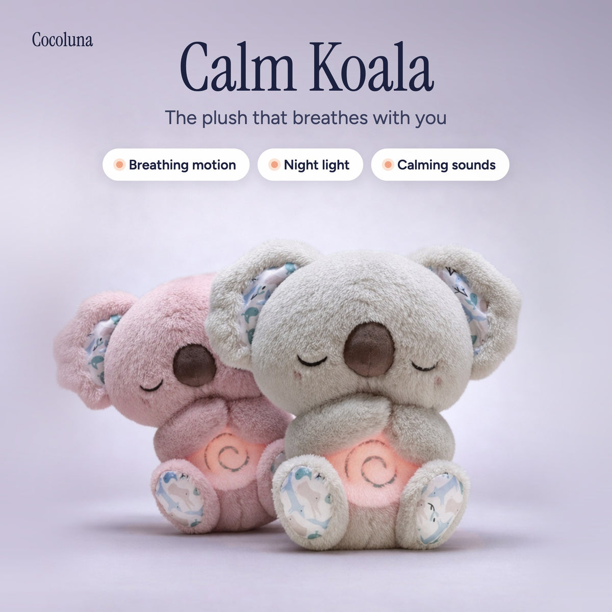 Calm Koala